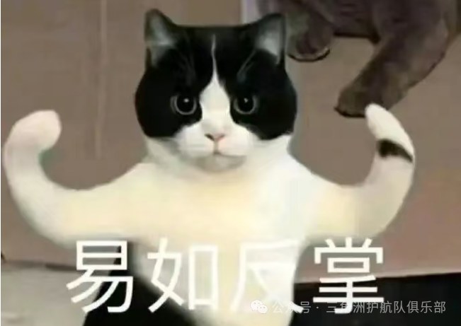三角洲行动物资外挂